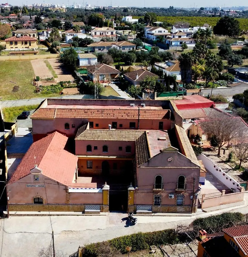 Casa Cortijo Olivar Seville